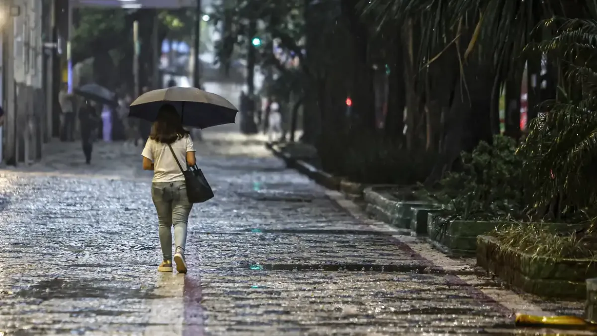 Alertas de chuva da Defesa Civil: entenda as cores e níveis de perigo