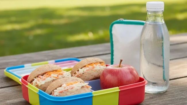 Lancheira saudável 5 opções práticas de lanches para seu filho comer bem na escola