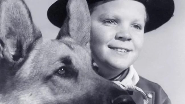 Relembre grandes produções com Dennis Carvalho; ator e diretor morreu no último sábado (28) (2)