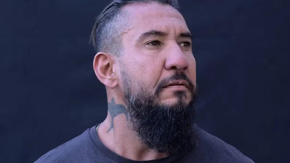 Vida e obra: confira 5 documentários de artistas e bandas e onde assistir